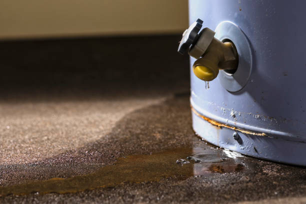Best Water damage restoration near me  in Shongopovi, AZ
