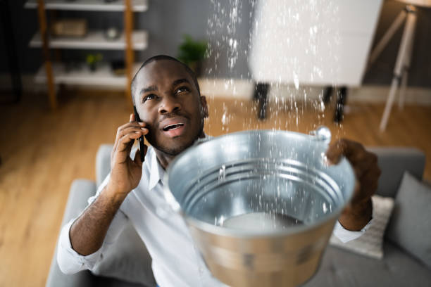Best Mold removal after water damage  in Shongopovi, AZ