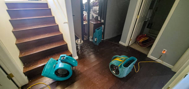 Best Water damage cleanup near me  in Shongopovi, AZ