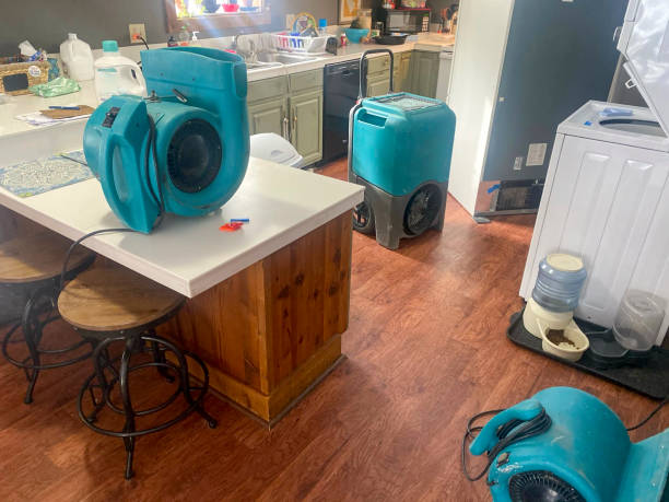 Shongopovi, AZ Water damage restoration Pros