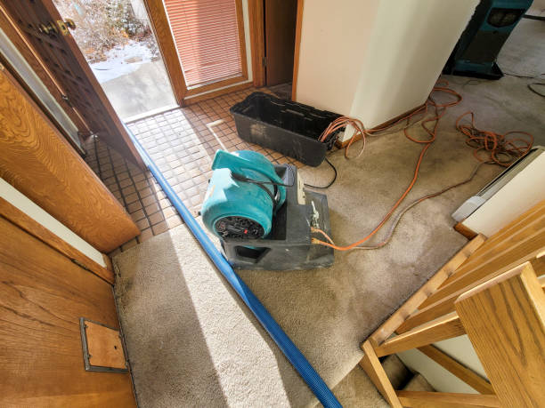 Fire Damage Restoration in Shongopovi, AZ