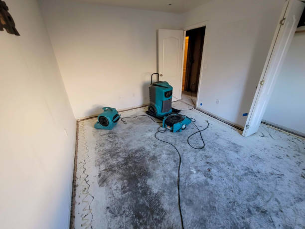 Best Carpet water damage restoration  in Shongopovi, AZ