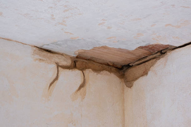Best Water damage restoration near me  in Shongopovi, AZ