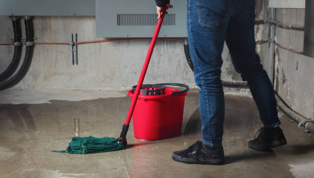 Best Fire Damage Restoration  in Shongopovi, AZ