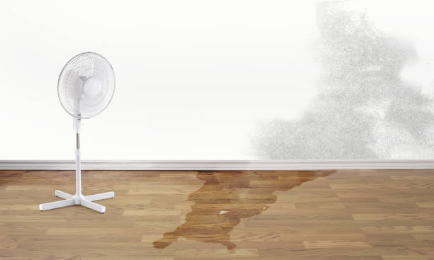 Best 24-hour water damage restoration  in Shongopovi, AZ