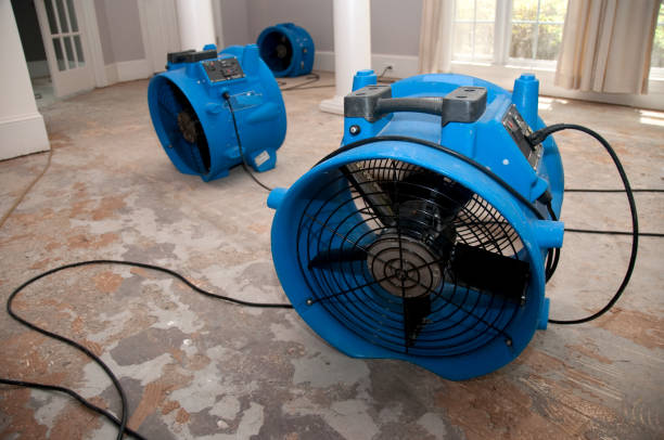 Best Flood restoration services  in Shongopovi, AZ