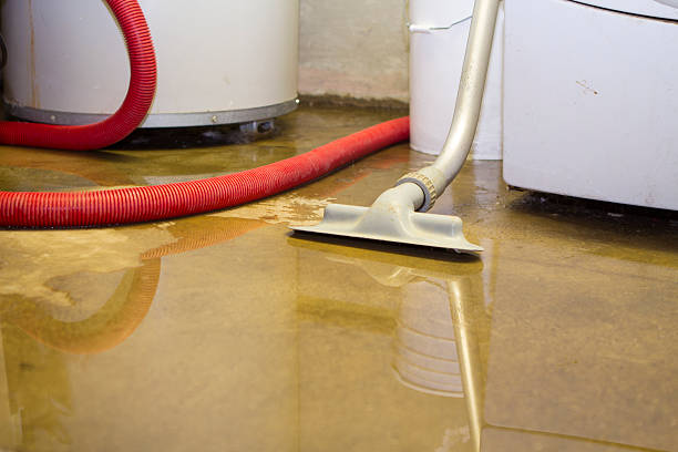 Carpet water damage restoration in Shongopovi, AZ