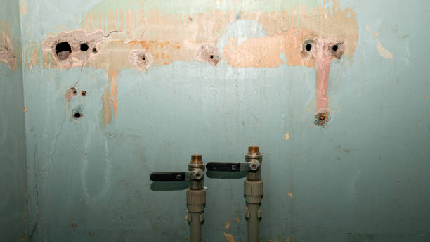 Best Ceiling water damage repair  in Shongopovi, AZ