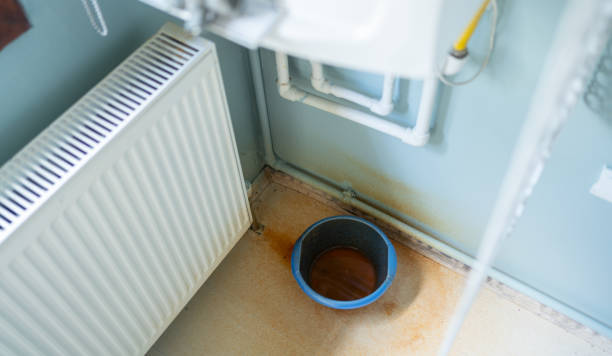 Best Flood restoration services  in Shongopovi, AZ