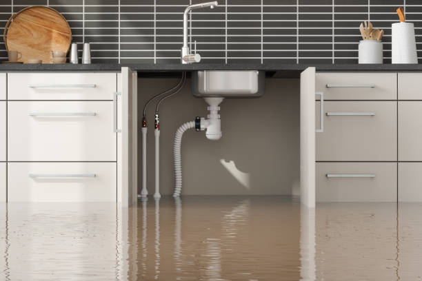 Local water damage restoration in Shongopovi, AZ