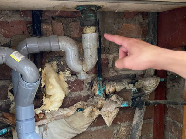 Best Flood damage cleanup  in Shongopovi, AZ