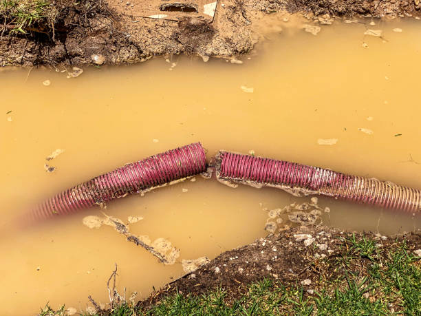 Shongopovi, AZ Water damage restoration Company