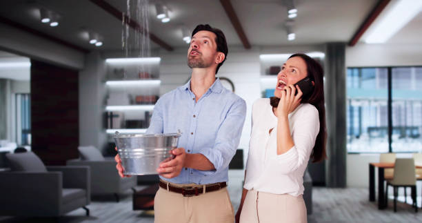 Best Flooded house restoration  in Shongopovi, AZ